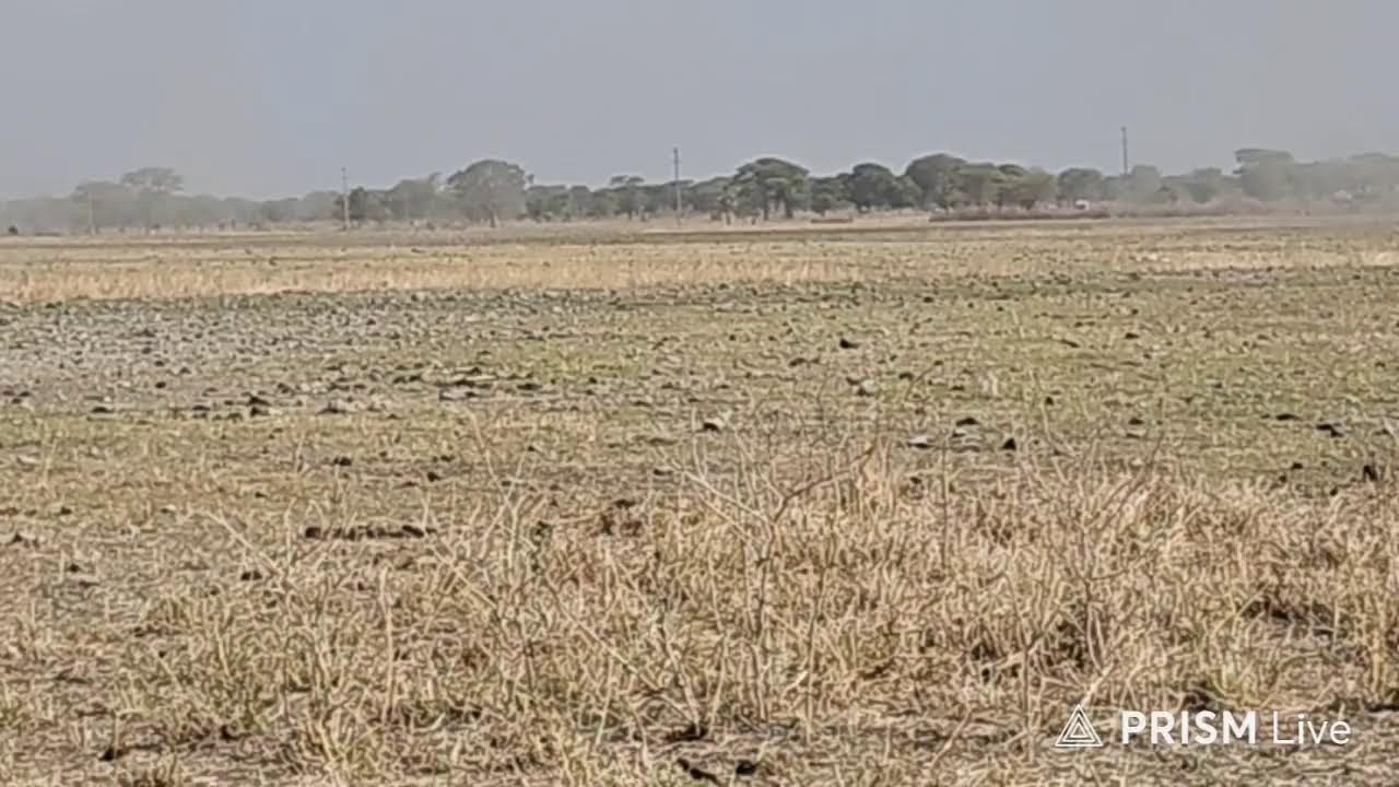 LIVE:stage1  Guru-Nanak Rally 2025🇹🇿