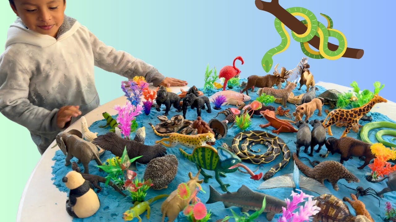 Jeremy Huge Toy Collection Reveal! Snakes, Scorpions , and more