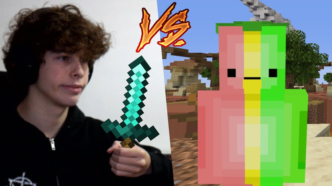chifruit vs danomc (final battle)