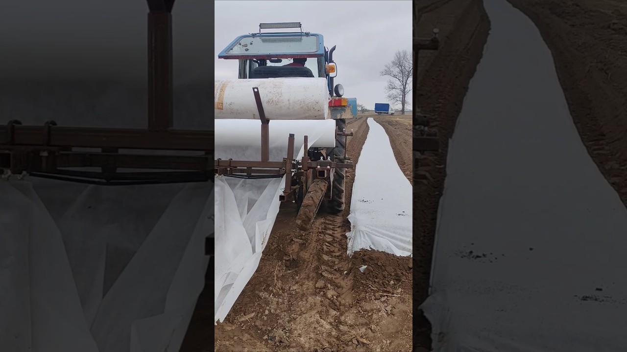 спанбондоукладчик для редиса