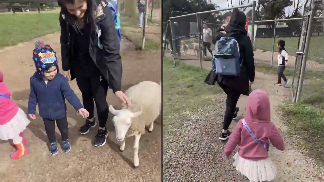 Noah’s Aussie Life 🇦🇺Trip #1—Farm Barn Hahndorf#australiadiaries #kids#somuchfun#adelaidelife 