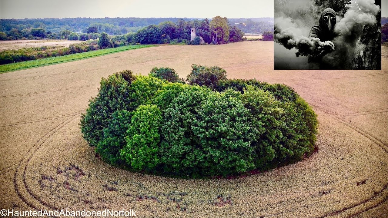 A Mysterious Copse of Trees in a Field Hiding a Bubonic Plague Pit near to Norfolk’s Tiniest Church!