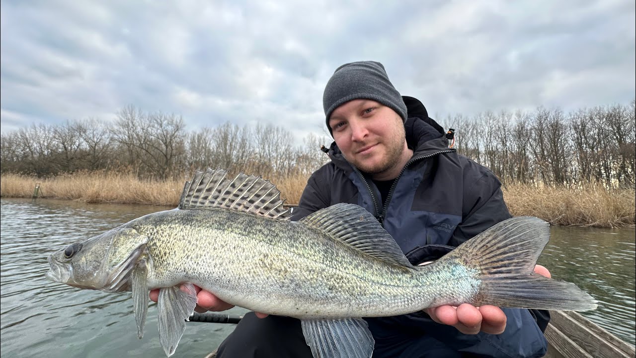 Megtört a jég! Beadta mind a kettőnknek, kinek mi járt! Pergetés süllőre az Alcsi Holt-Tiszán🎣