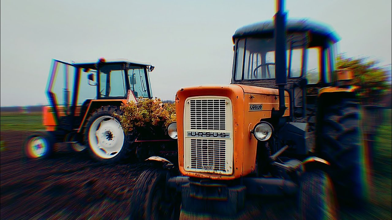 Sadzenie porzeczki ☆ Renault 551s & 3p ☆