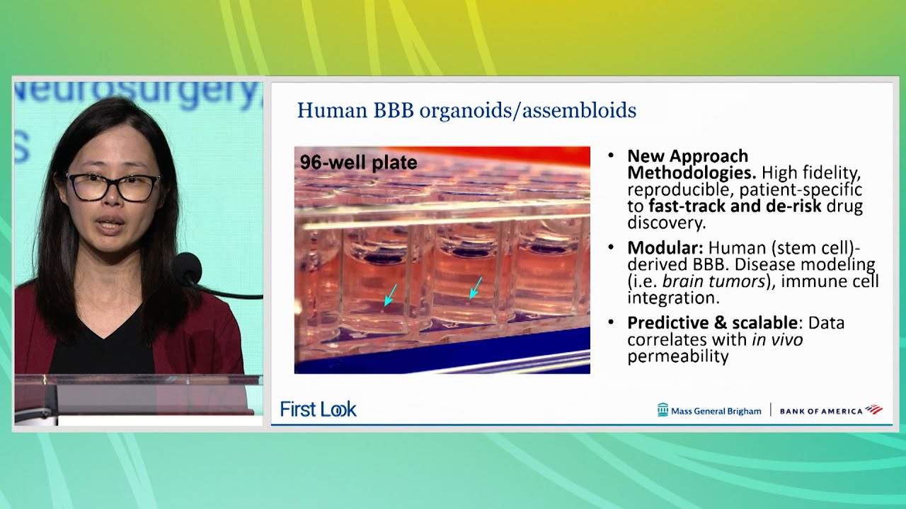 2025 WMIF | First | Look Choi Fong Cho PhD