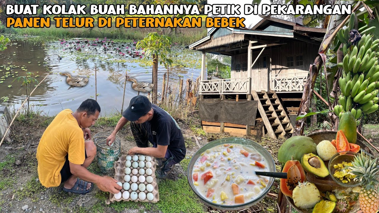 CUACA TERIK PETIK BUAH SEGAR DI PEKARANGAN DI OLAH JADI KOLAK BUAH | BELANJA KE PASAR & PANEN TELUR