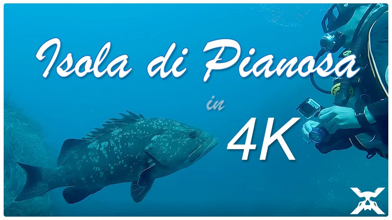 Pianosa (Isola d'Elba) | 4K | Sub Now