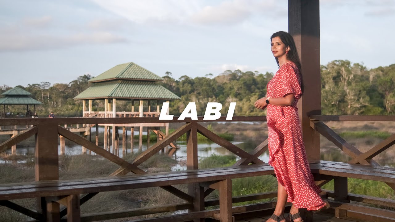 Brunei Travel Video- Labi [Cinematic 4K Travel Video]