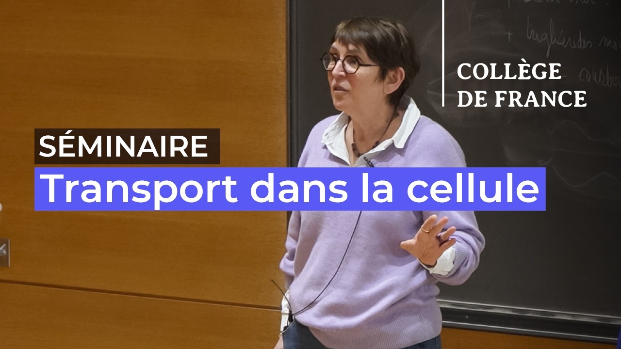 Transport dans la cellule (10) - Jean-François Joanny (2025-2026)