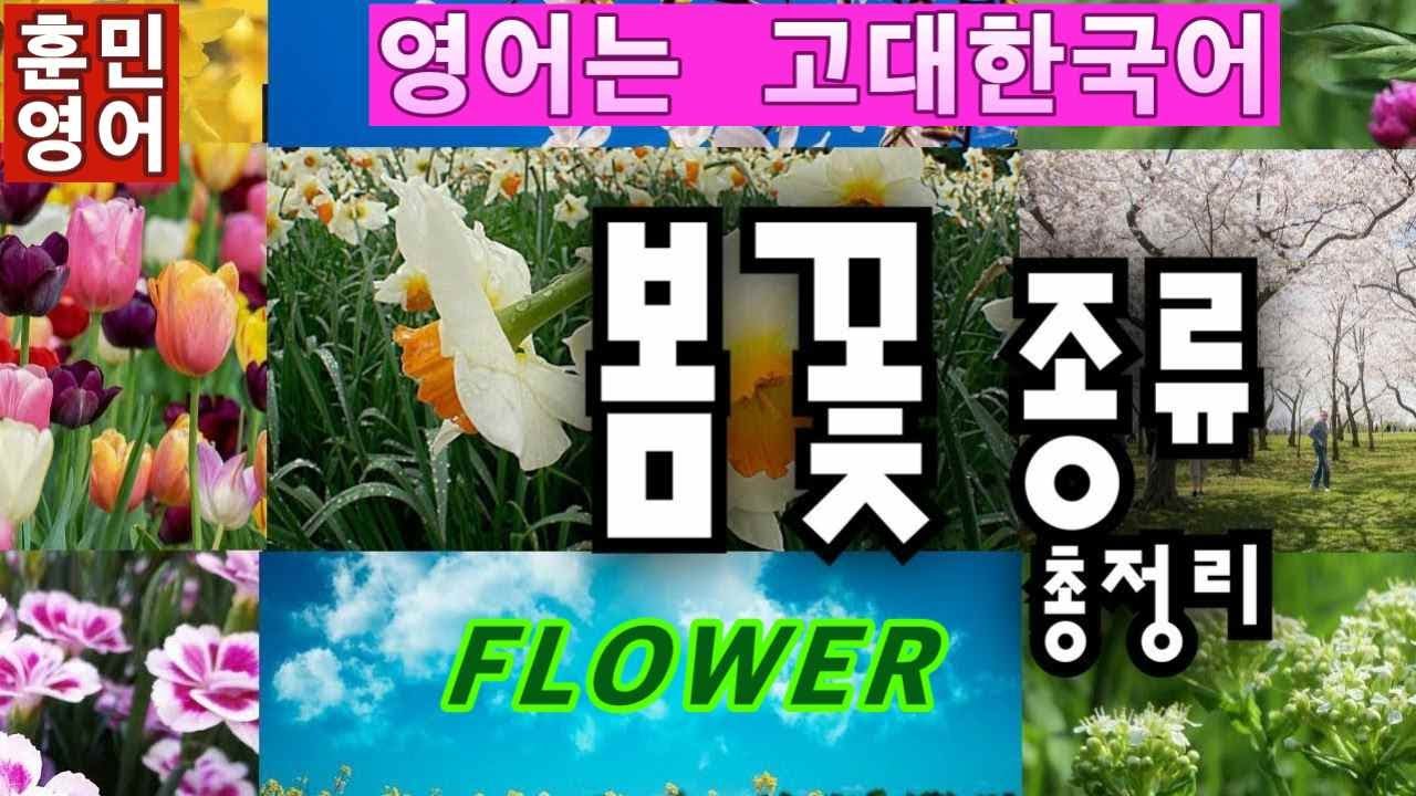 봄 꽃 이름  30가지 영어어원/ 이것이 영어어원의 지존이다/ 훈민영어