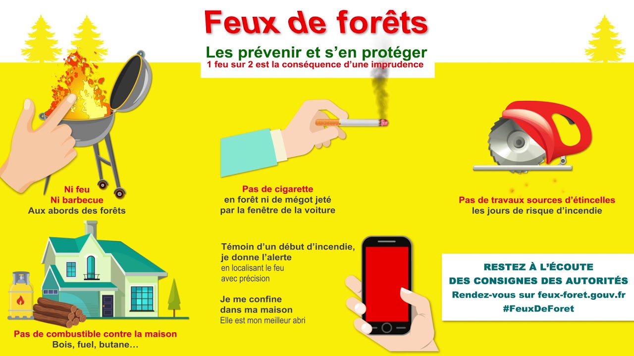 Feux de for&ecirc;t : pr&eacute;servons la v&eacute;g&eacute;tation face aux incendies