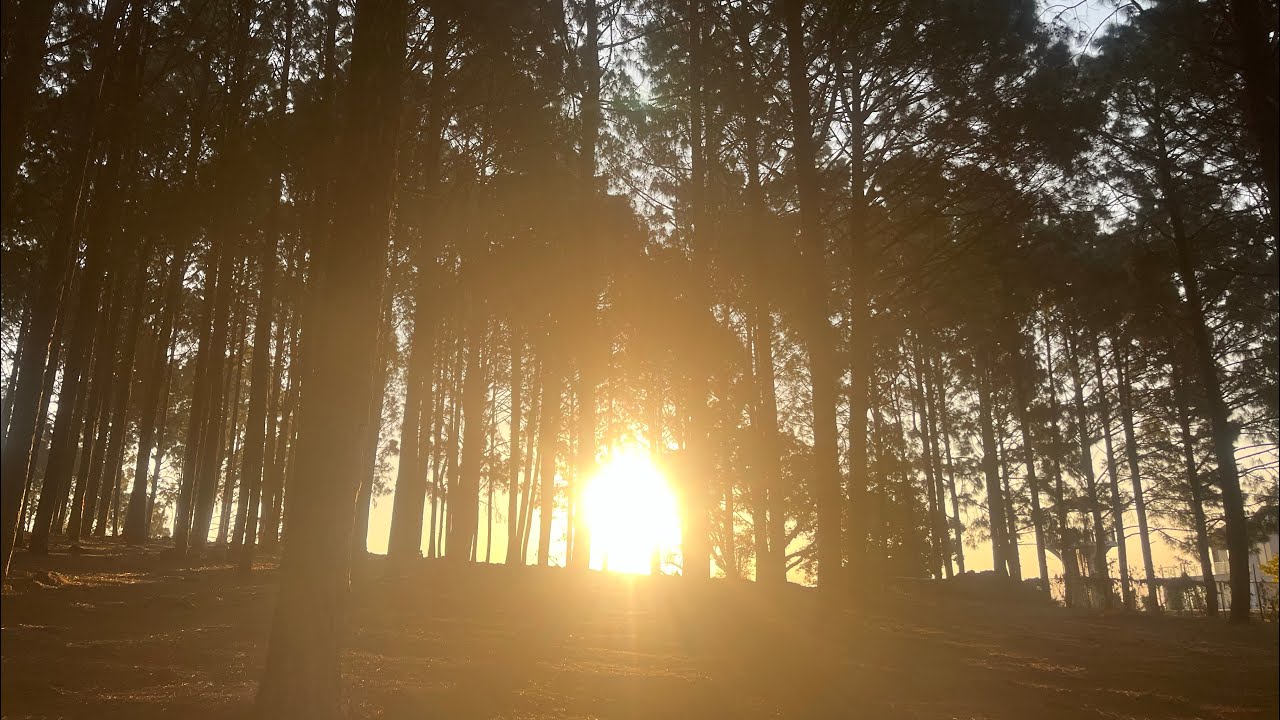 Koel View Point - Sun rise ho Gaya. 🌝 #netarhat #sunrise #travel #jharkhand #vlog 