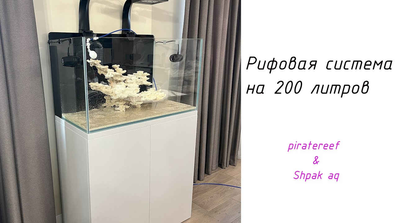Рифовый морской аквариум на 200 литров! Piratereef & Shpak Aquriums