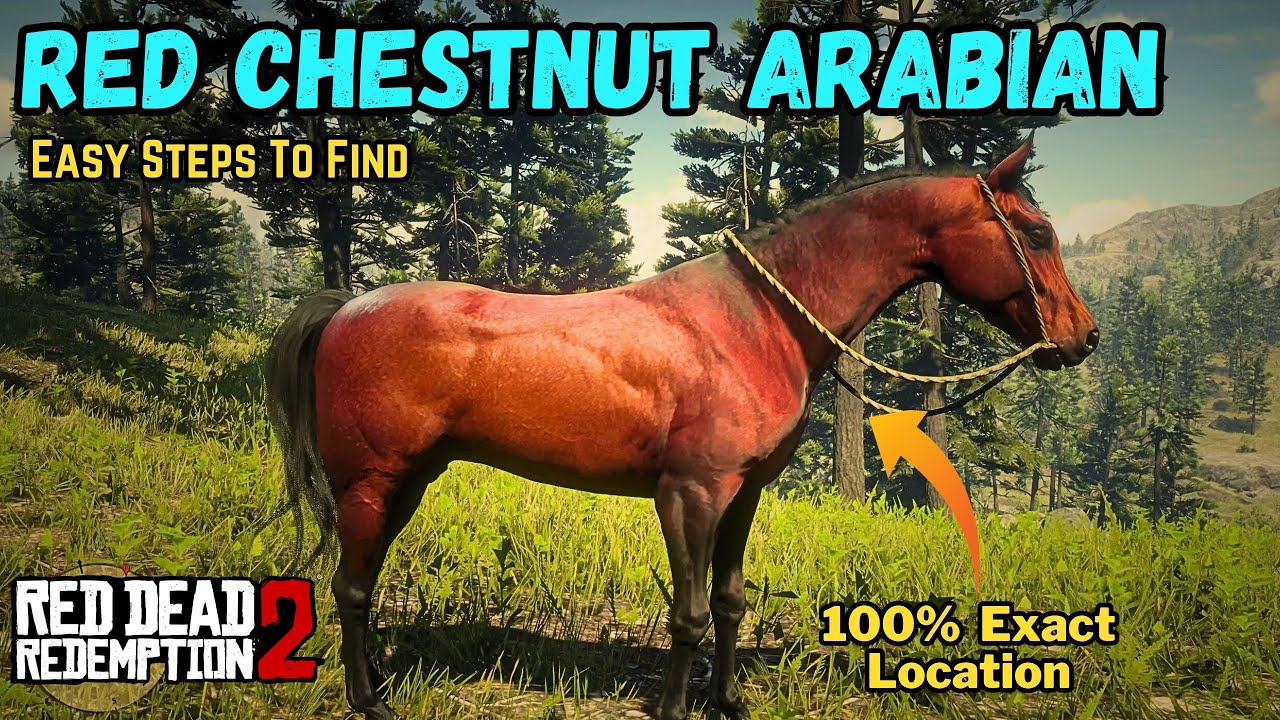 Easiest way to find Red Chestnut Arabian - Exact Location