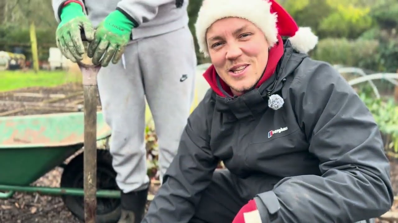 ALLOTMENT | What Veg Can You Harvest at Christmas? | UK Allotment