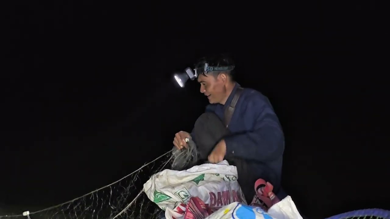 Chinh phục đàn cá | thả lưới trên sông | cao su tv