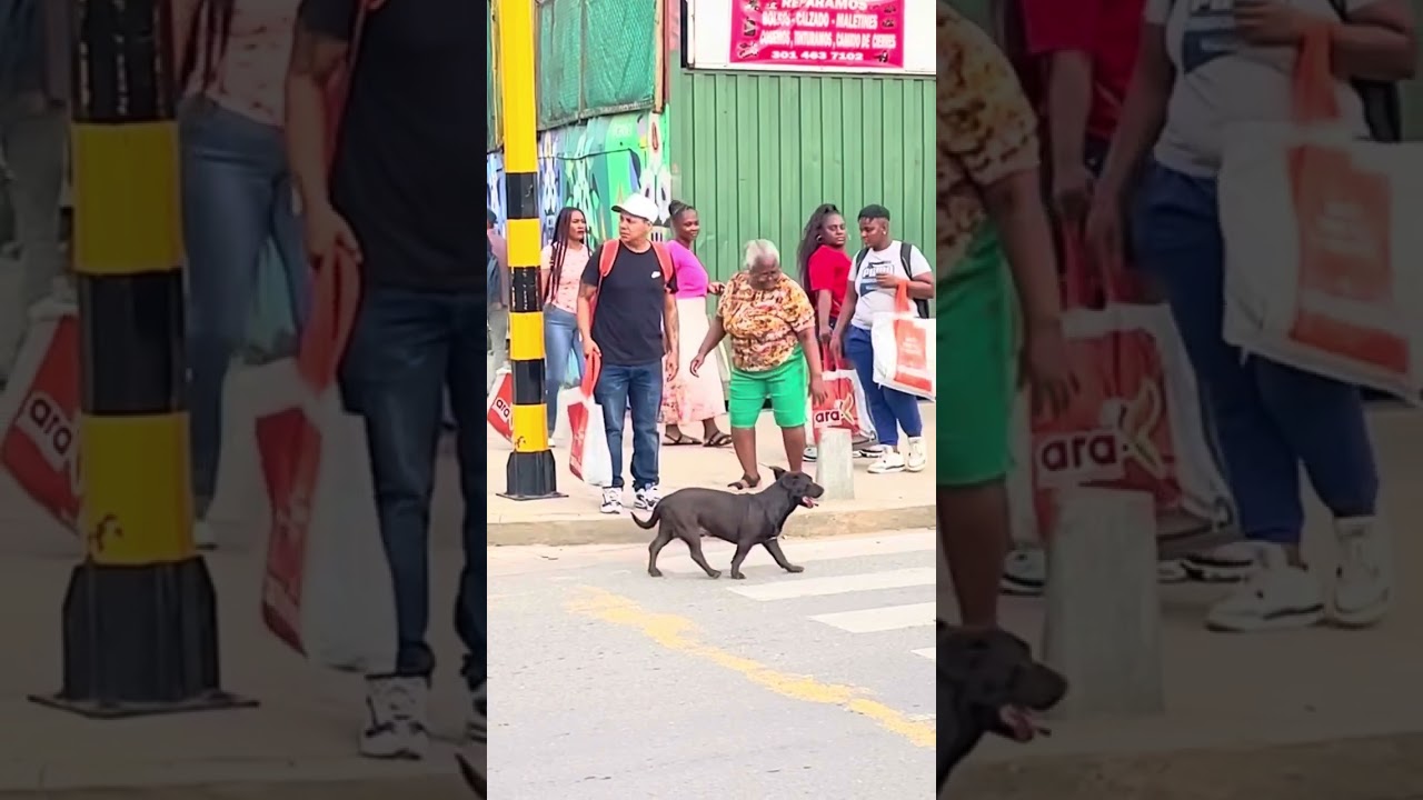 Videos viral3s #tendencia #humor 