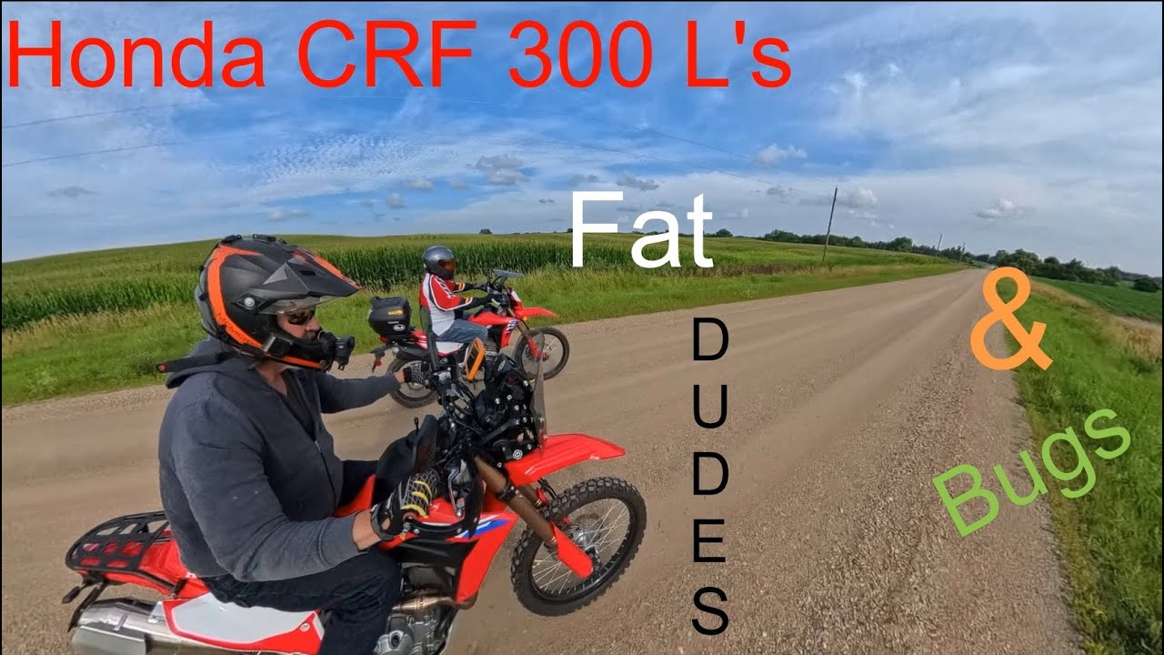 Honda CRF 300L x 2, Fat Dudes x 2, Bugs x 2
