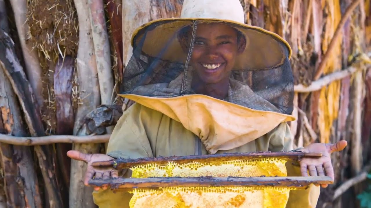 Introducing Nature-based Beekeeping