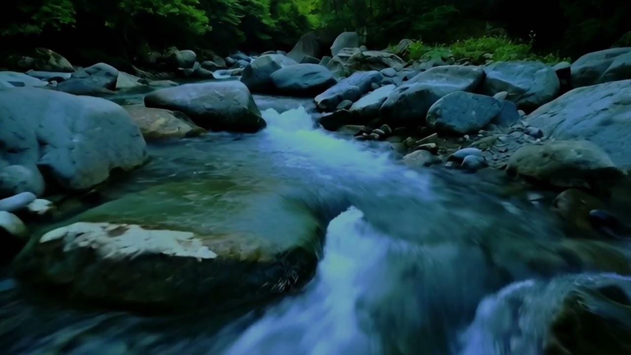 Forest Ambience | Birds Singing & Beautiful Stream Sounds for Peaceful Sleep,Deep Rest,Medicine ASMR