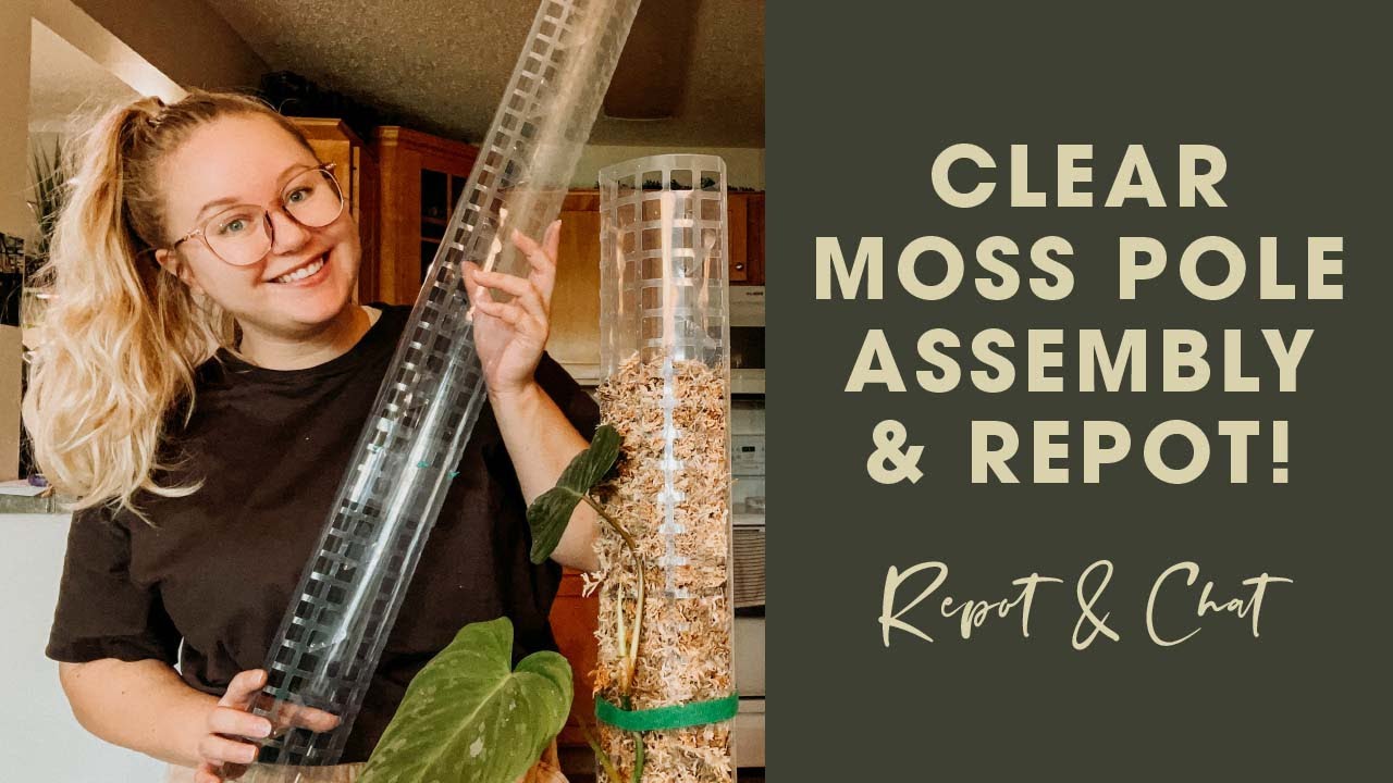 New Moss Pole Set Up + Philodendron Majestic Repot | Clear Plastic Moss Poles | How To Assemble
