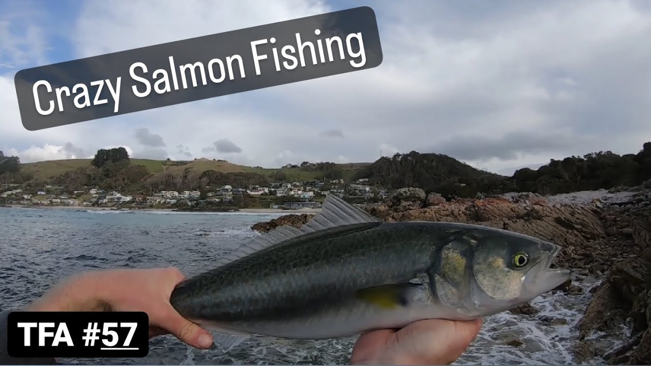 Crazy Salmon Fishing | Soft Plastics, Surf Poppers and Bait | TFA #57