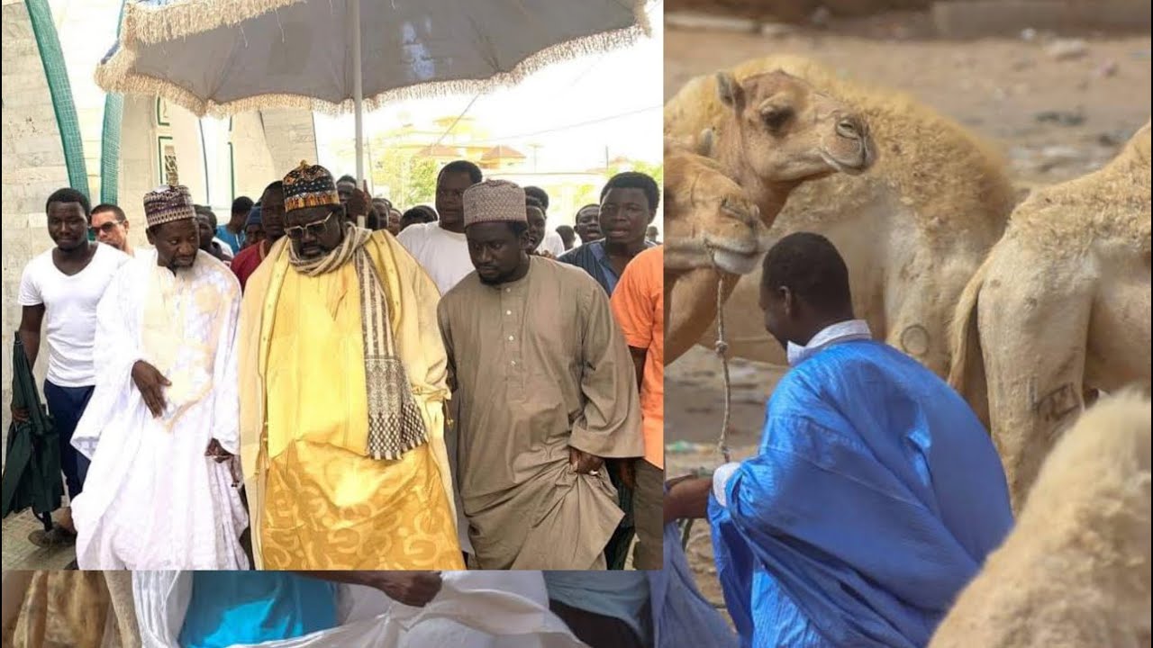 How People in Senegal Celebrate Eid Adha | Madina Baye
