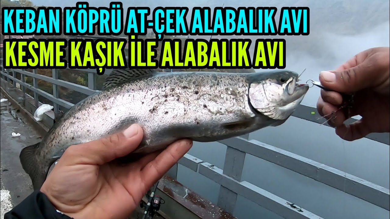 Ловля стальной форели, Ловля радужной форели