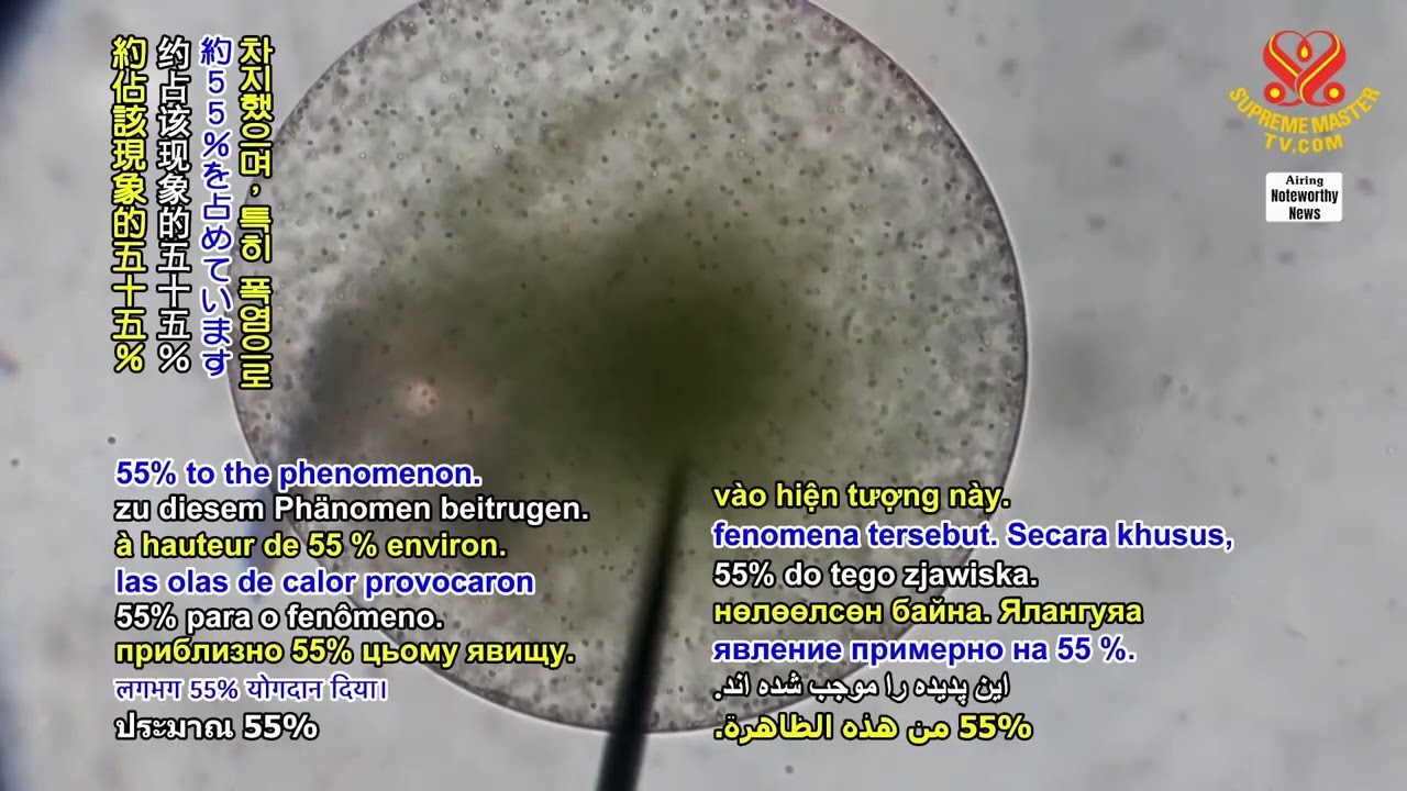2782 NWN 2 climatic warming accelerates oxygen depletion in world&rsquo;s lakes 1080p