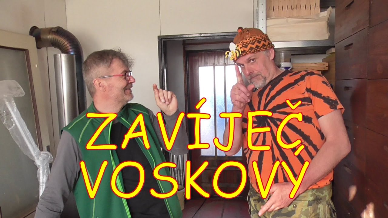 Zavíječ voskový v akci a boj s ním pomocí ozonu