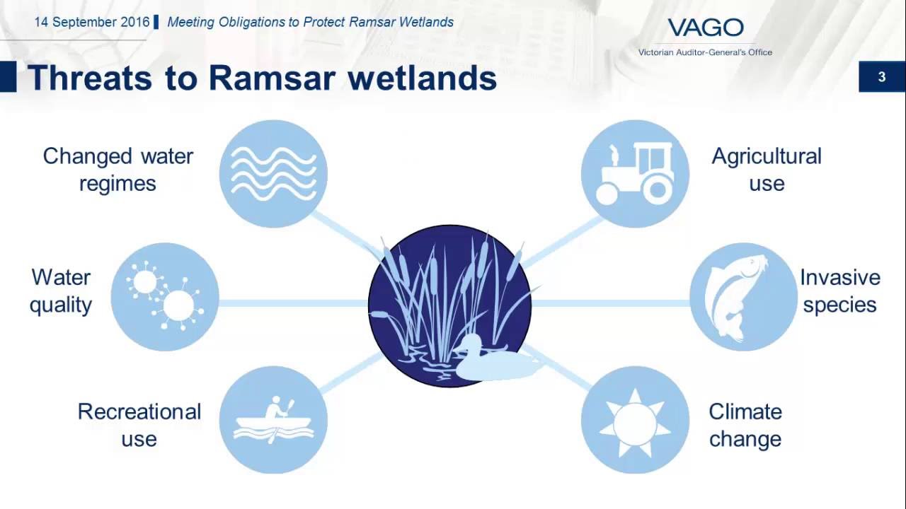 Meeting Obligations to Protect Ramsar Wetlands