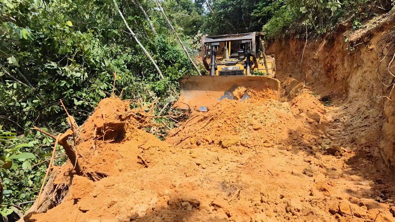 This Caterpillar D6R XL Dozer is Dramatically Widening a Plantation Road