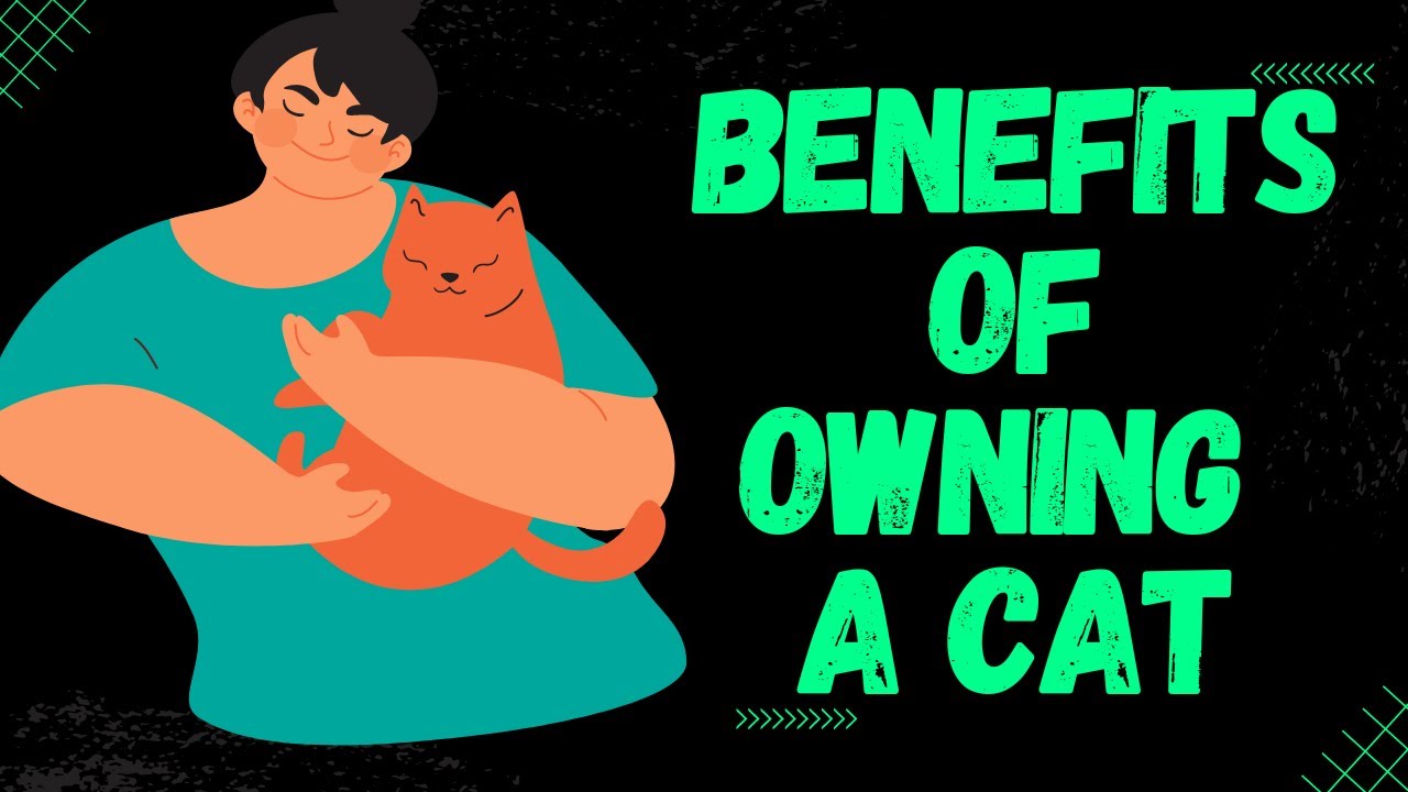 The Benefits of Owning a Cat: Why Cats Make Great Pets