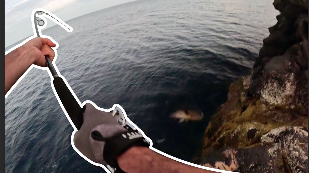 Un pesce GIGANTESCO!...non pensavo diventassero così grandi!