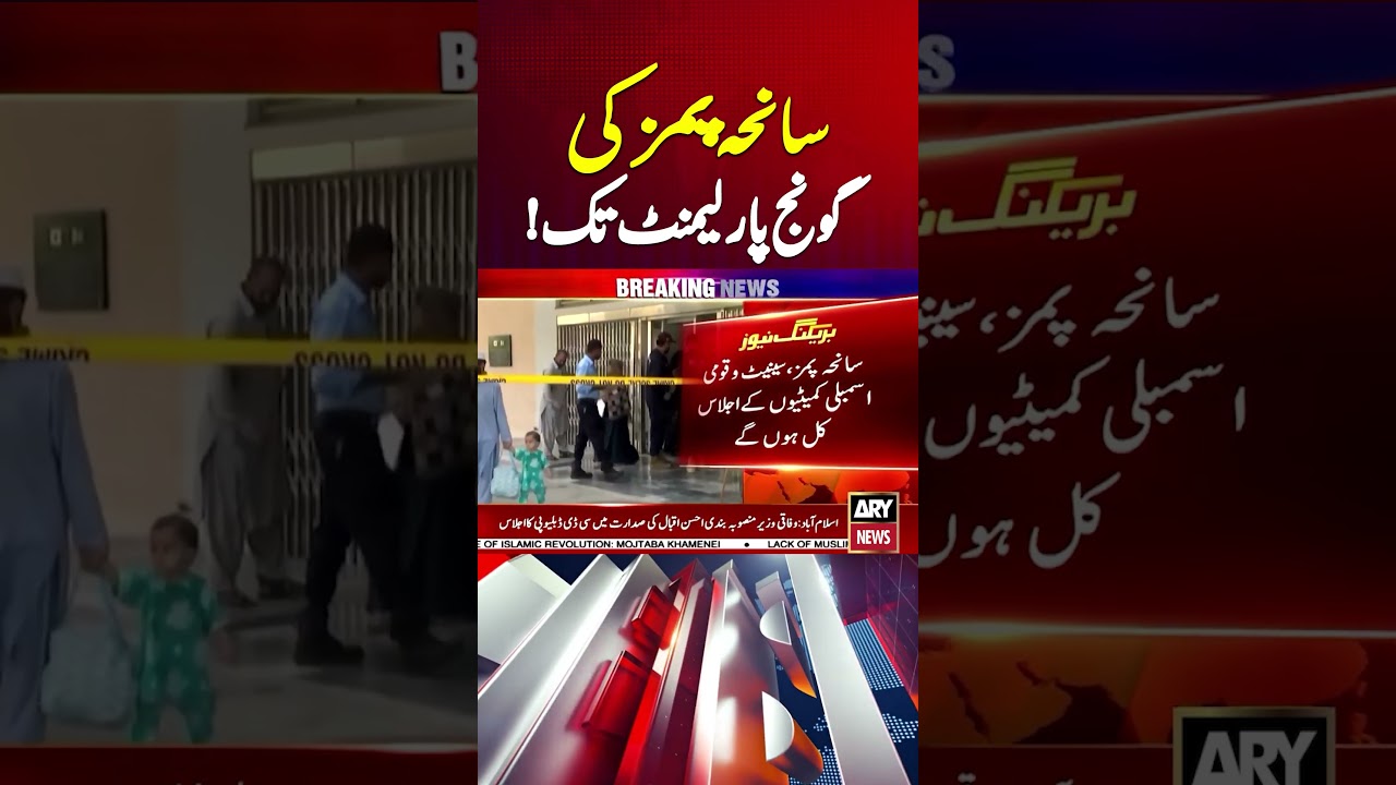 PIMS Tragedy: Senate and National Assembly Committees to Meet Tomorrow #ytshorts  #arynews #shorts