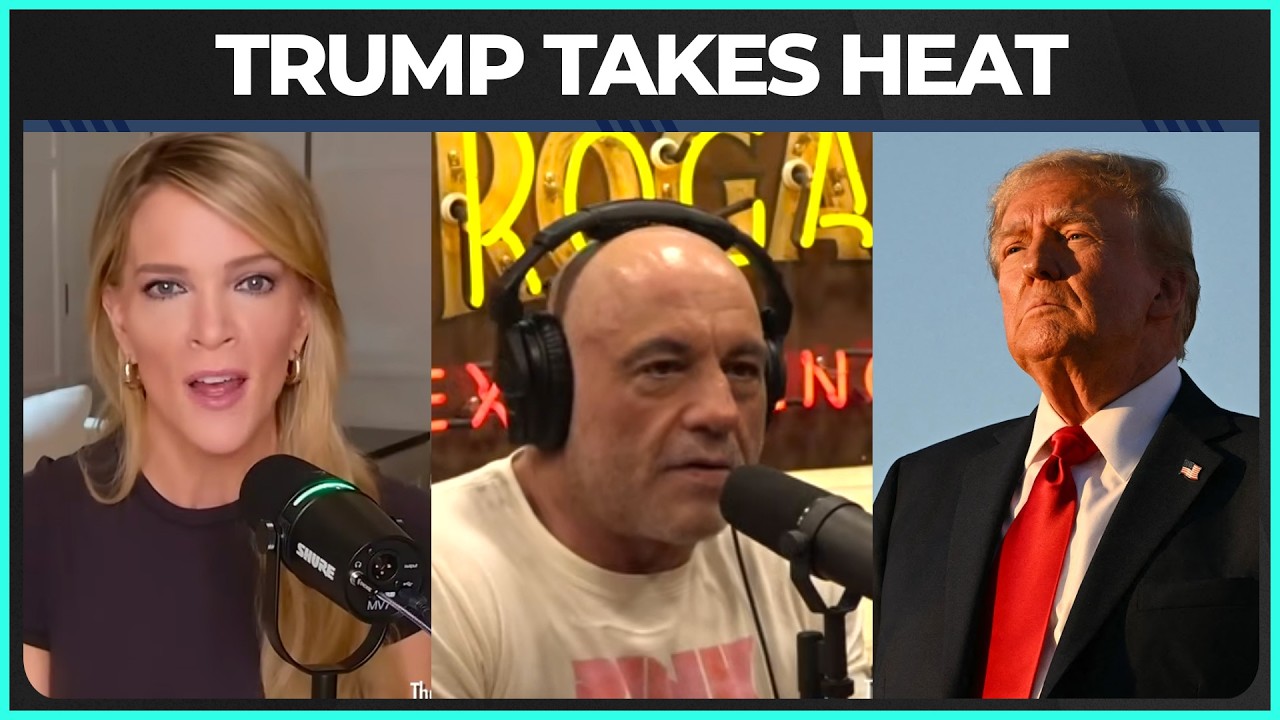 Мегин Келли назвала виновных в этой глупой войне.