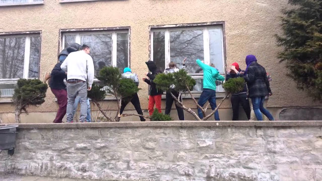 Harlem_Shake!_Hettstedt_10a