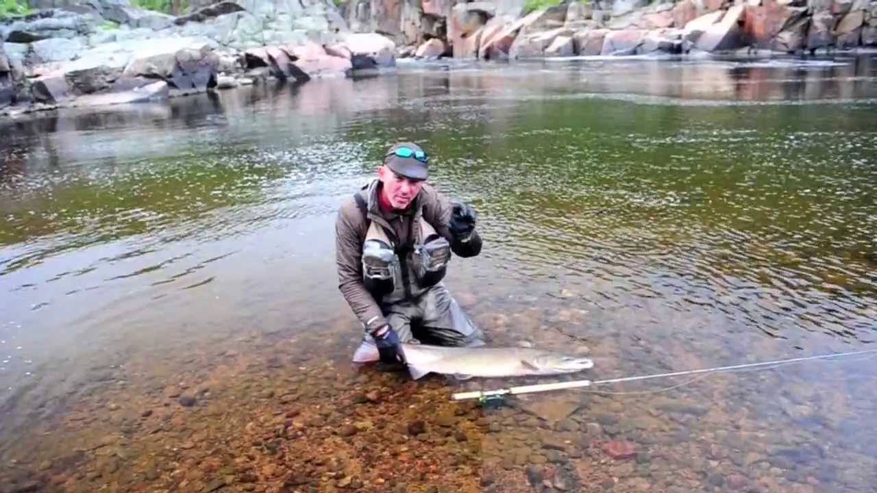 Frödin - Low Water Tactics
