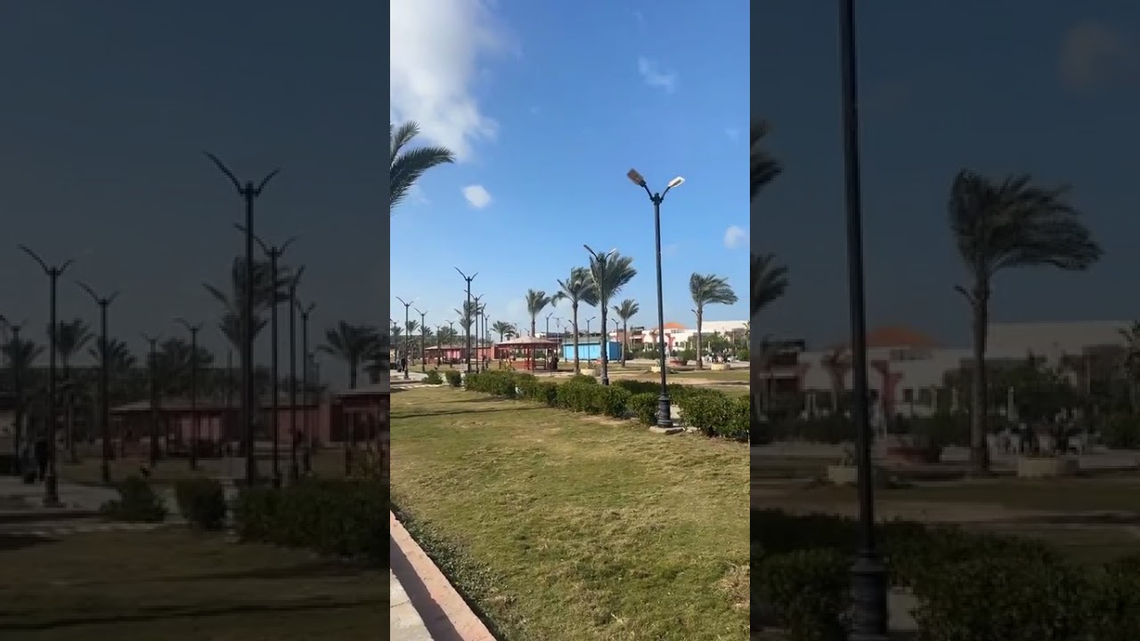 رياح متوسطة وشمس ساطعة في محافظة بورسعيد