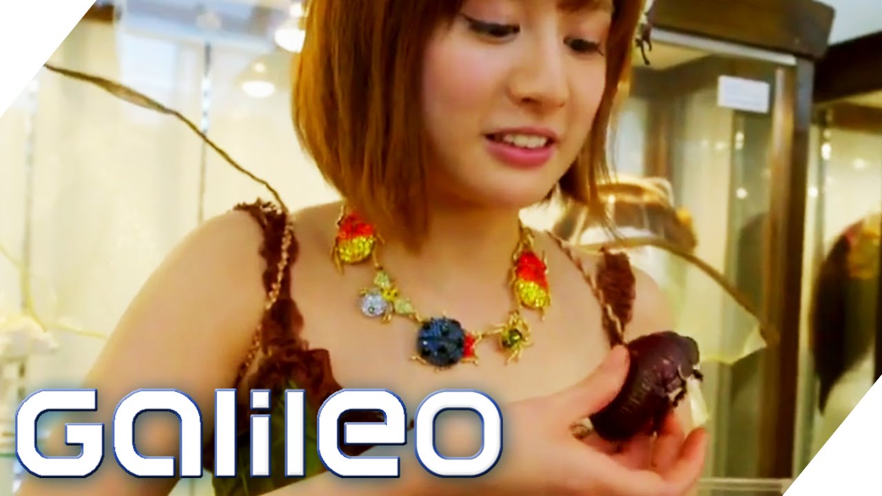 Käfer-Hype in Tokio | Galileo | ProSieben