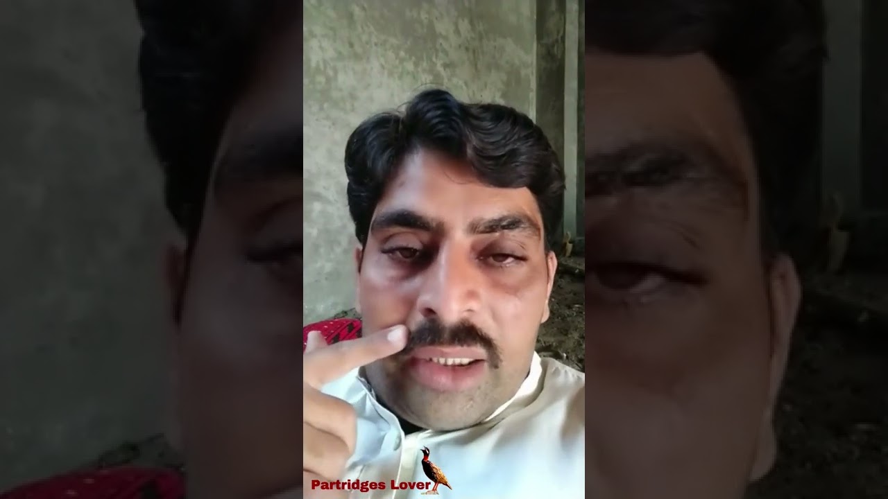 Teeter Ka Lia Chakri Ka Lia Goli or Khorak|| تیتر کیلئے چکری والی گولی اور خوراک || Partridges Lover