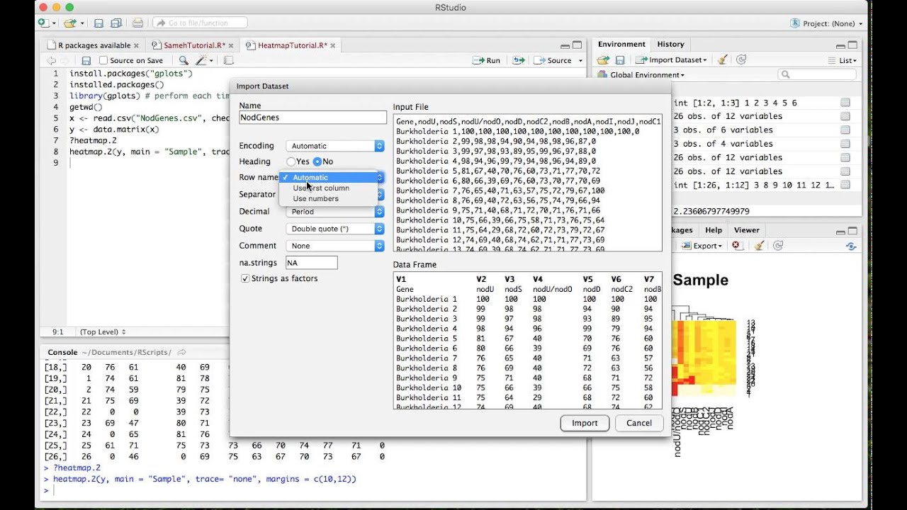 Make a Heatmap on R Studio