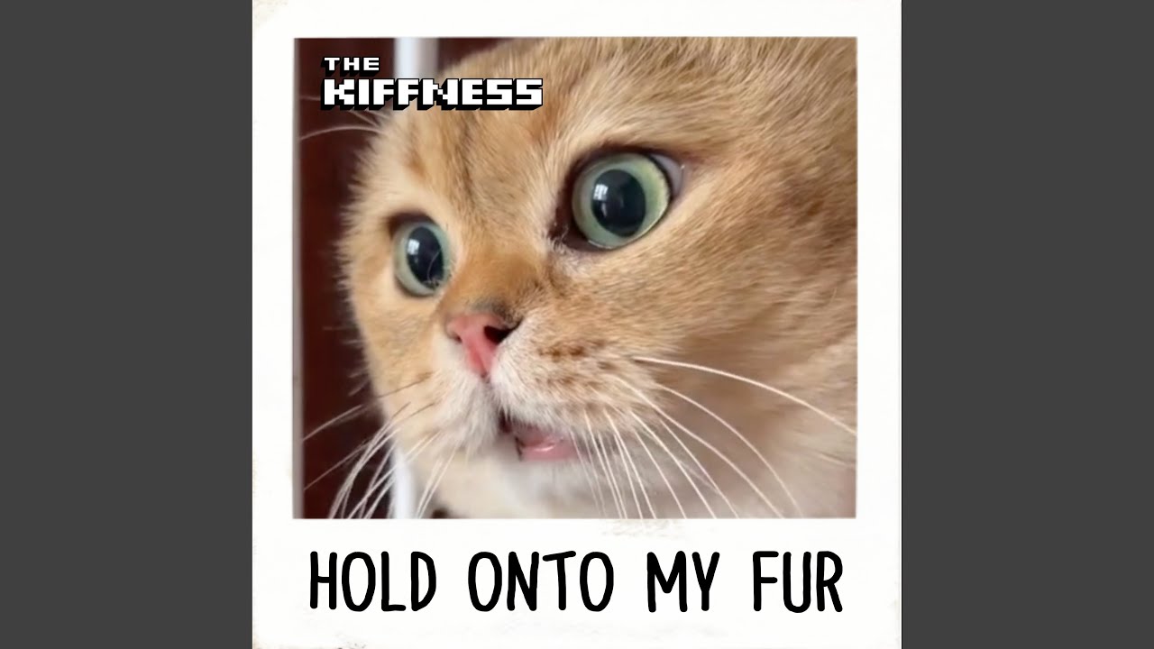 Hold Onto My Fur