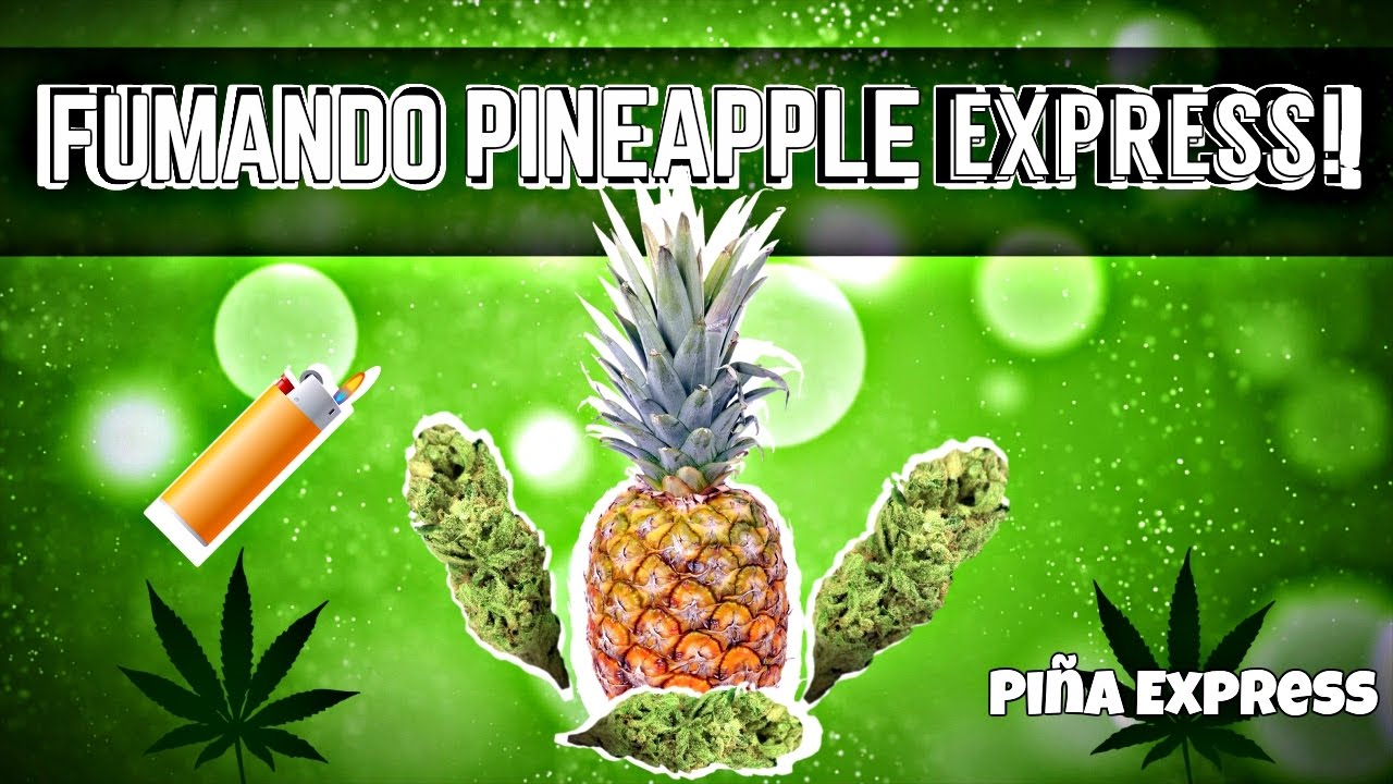 Fumando marihuana Pi&ntilde;a Express