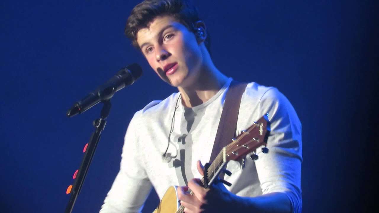Shawn Mendes - Life of The Party - Show of The Summer | Hershey, PA (6/28/15)