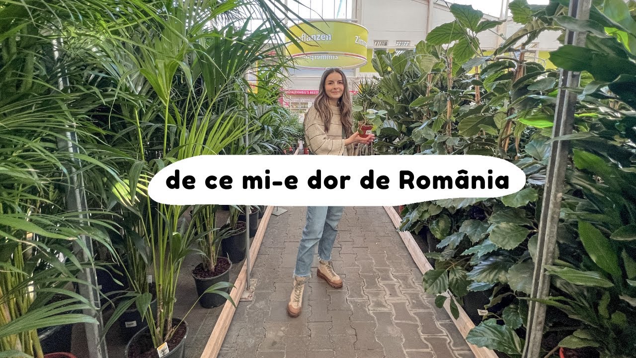 VLOG Plante, Sport acasa si de ce mi-e dor din Romania | Bianca Jessica