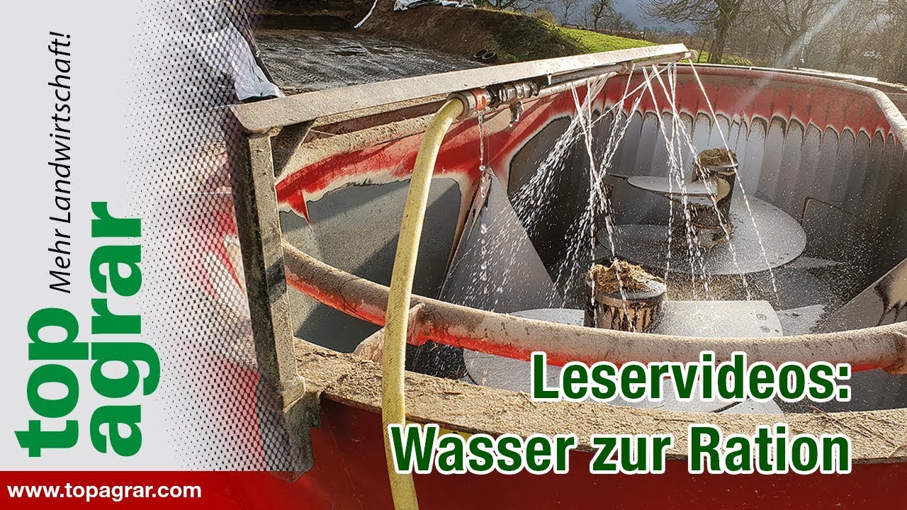 Leservideos: Wasser in die Mischration für Kühe