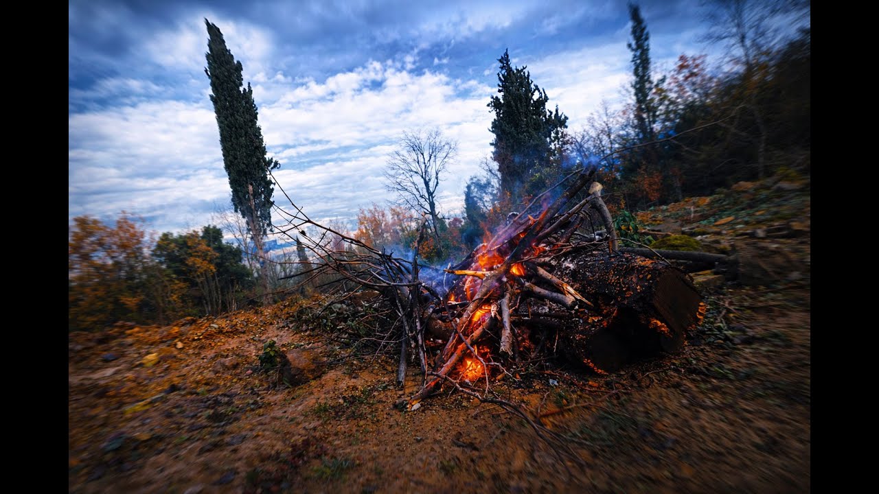 I’m sitting in front of a campfire in the forest. It’s really nice for relaxing.