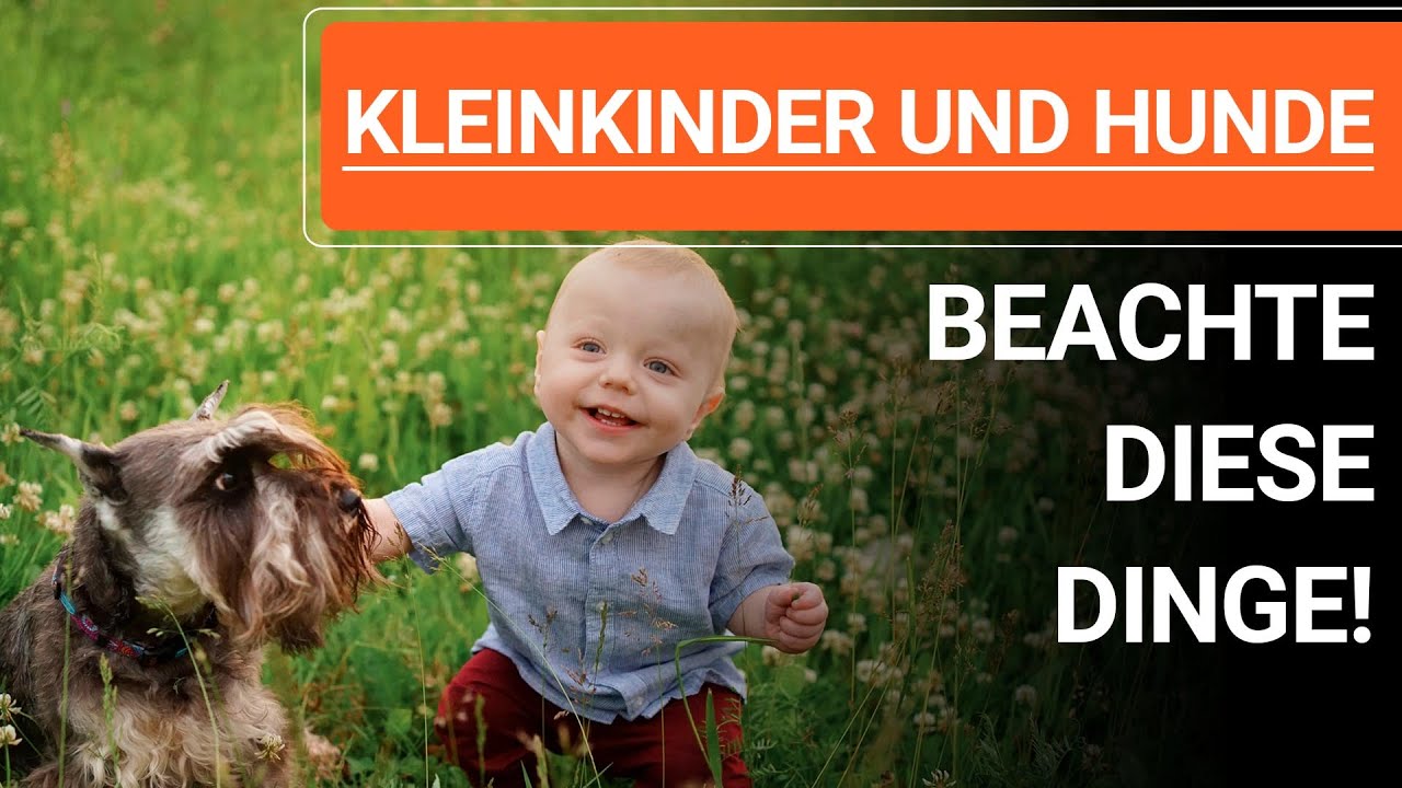 🐕🐶 Kleinkinder und Hunde ➡️ Welpen und Kleinkinder ➡️ Beachte diese Dinge! 🐕🐶✔️