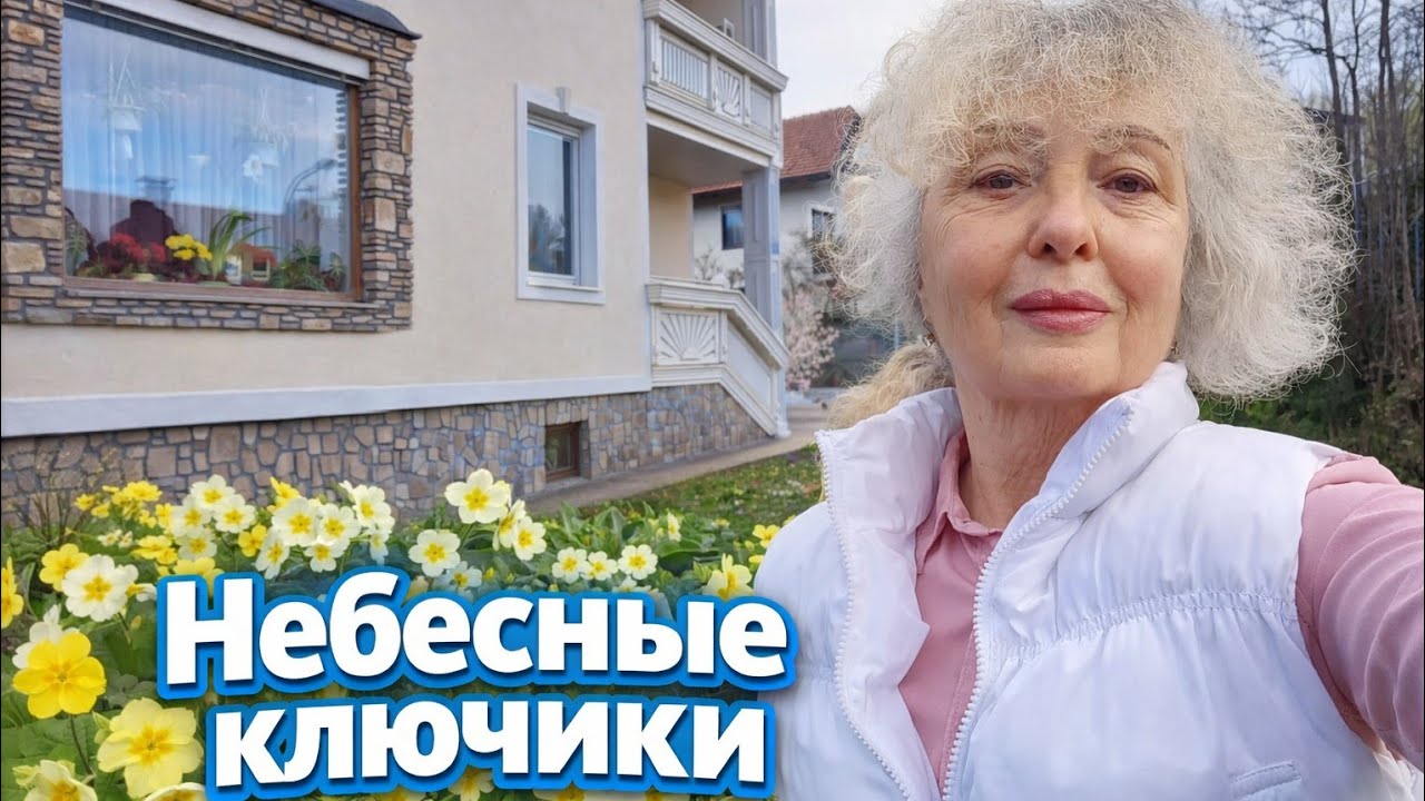 Хорошее начало дня! Австрия.